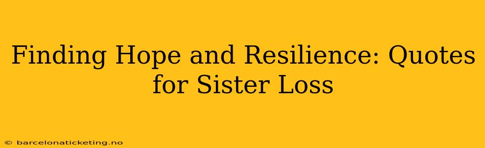 Finding Hope and Resilience: Quotes for Sister Loss