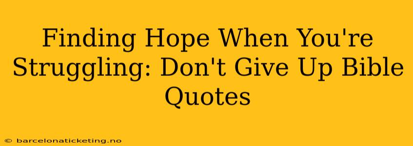 Finding Hope When You're Struggling: Don't Give Up Bible Quotes