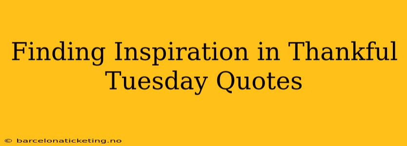 Finding Inspiration in Thankful Tuesday Quotes