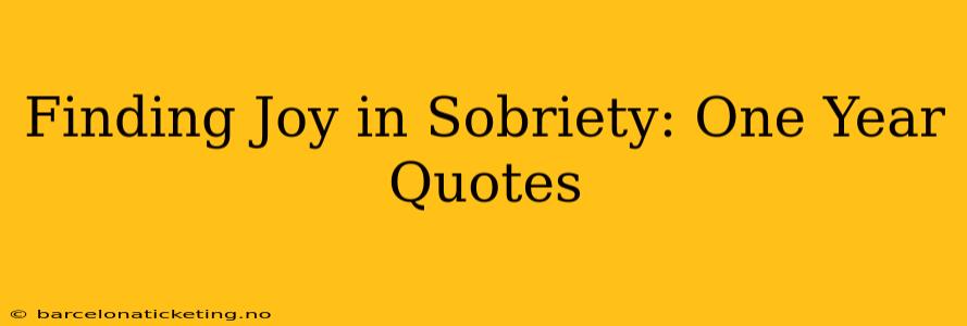Finding Joy in Sobriety: One Year Quotes