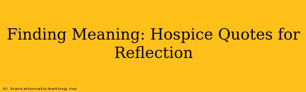 Finding Meaning: Hospice Quotes for Reflection