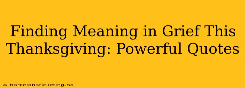 Finding Meaning in Grief This Thanksgiving: Powerful Quotes