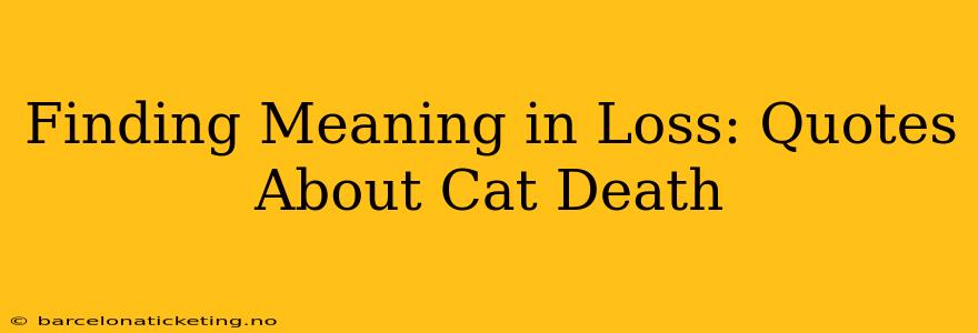 Finding Meaning in Loss: Quotes About Cat Death