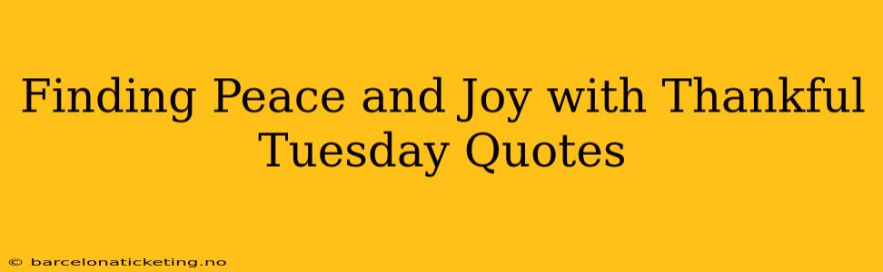 Finding Peace and Joy with Thankful Tuesday Quotes