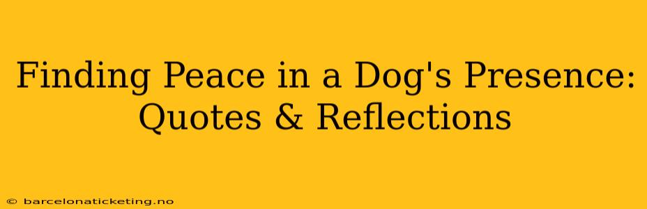 Finding Peace in a Dog's Presence: Quotes & Reflections