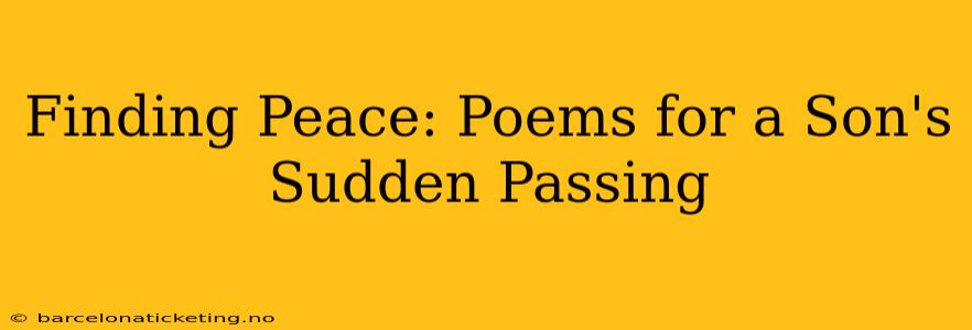 Finding Peace: Poems for a Son's Sudden Passing