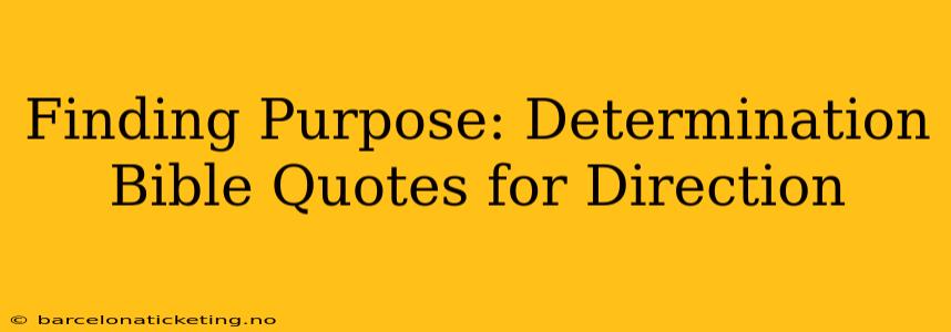 Finding Purpose: Determination Bible Quotes for Direction