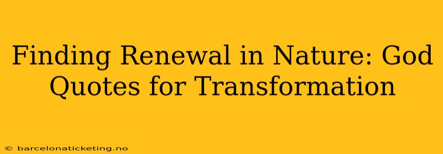Finding Renewal in Nature: God Quotes for Transformation