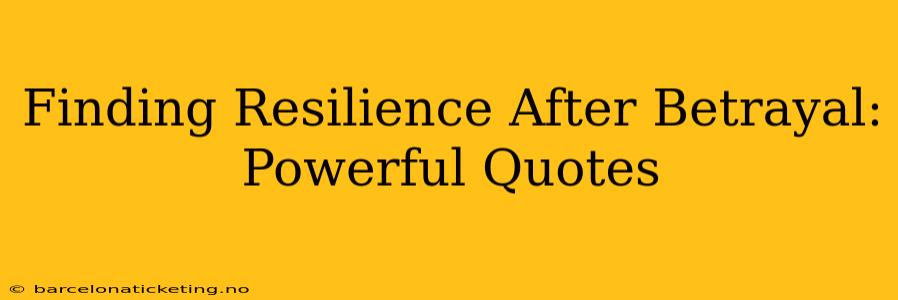 Finding Resilience After Betrayal: Powerful Quotes