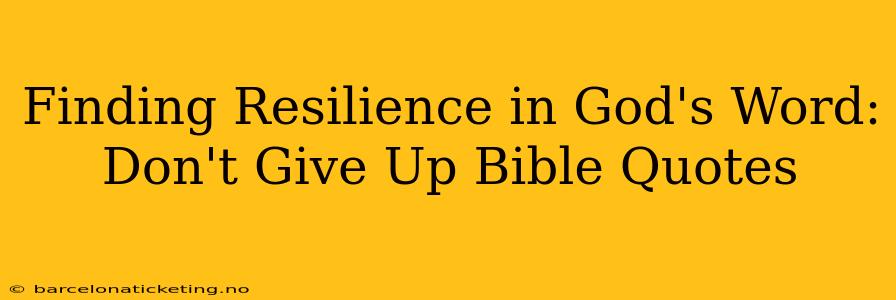 Finding Resilience in God's Word: Don't Give Up Bible Quotes