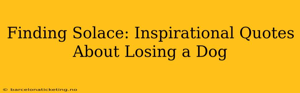 Finding Solace: Inspirational Quotes About Losing a Dog