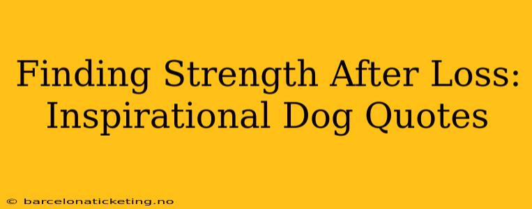 Finding Strength After Loss:  Inspirational Dog Quotes