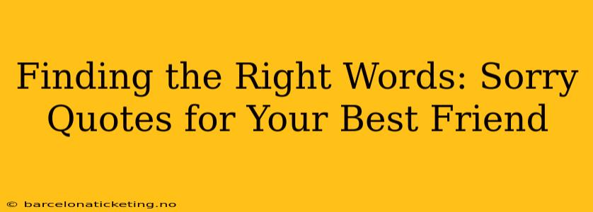 Finding the Right Words: Sorry Quotes for Your Best Friend
