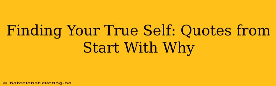 Finding Your True Self: Quotes from Start With Why