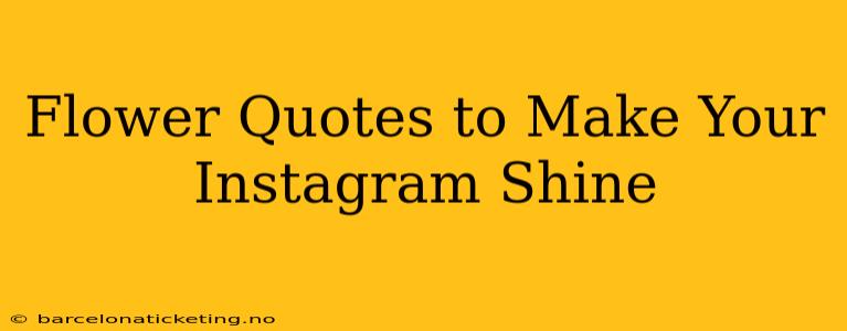 Flower Quotes to Make Your Instagram Shine