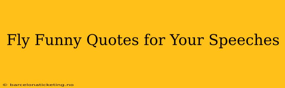 Fly Funny Quotes for Your Speeches