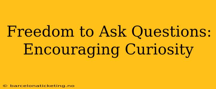 Freedom to Ask Questions: Encouraging Curiosity