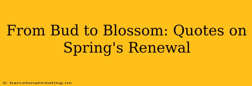 From Bud to Blossom: Quotes on Spring's Renewal