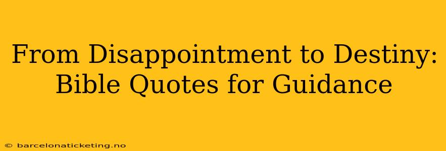 From Disappointment to Destiny: Bible Quotes for Guidance