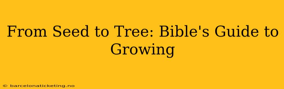 From Seed to Tree: Bible's Guide to Growing