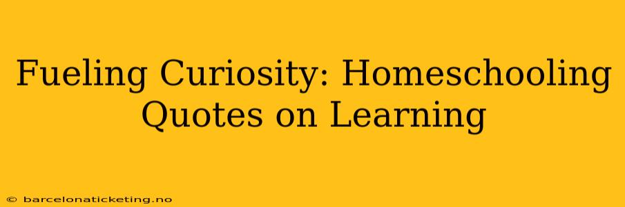 Fueling Curiosity: Homeschooling Quotes on Learning