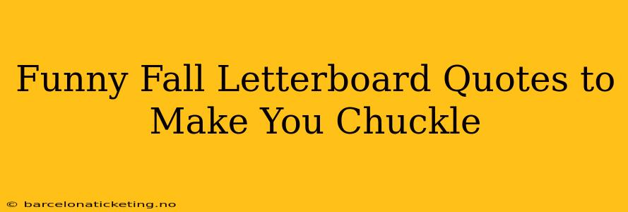Funny Fall Letterboard Quotes to Make You Chuckle