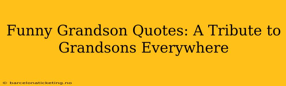 Funny Grandson Quotes: A Tribute to Grandsons Everywhere