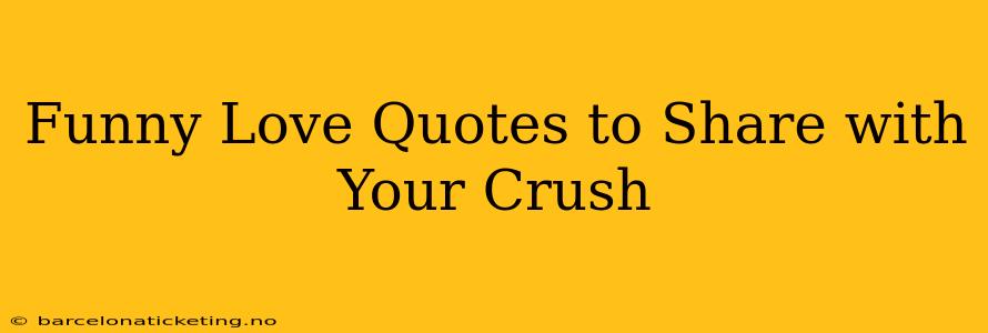 Funny Love Quotes to Share with Your Crush