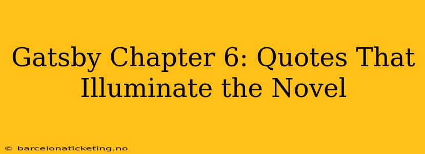 Gatsby Chapter 6: Quotes That Illuminate the Novel