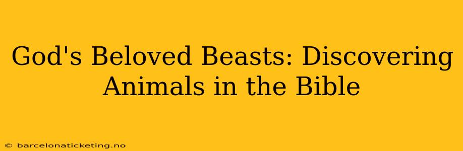 God's Beloved Beasts: Discovering Animals in the Bible