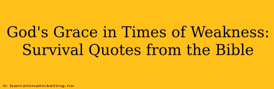 God's Grace in Times of Weakness: Survival Quotes from the Bible