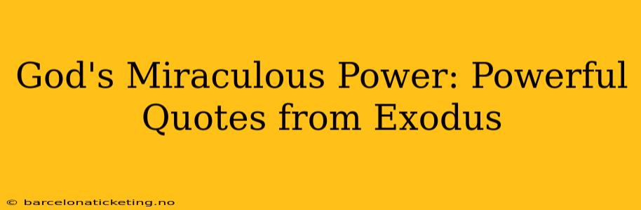 God's Miraculous Power: Powerful Quotes from Exodus