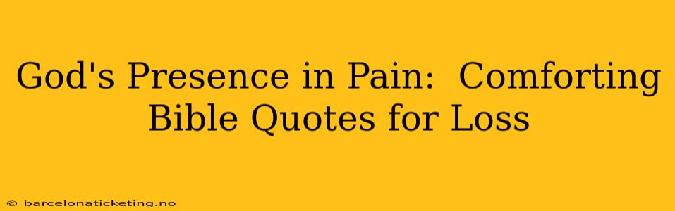 God's Presence in Pain:  Comforting Bible Quotes for Loss