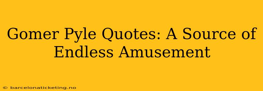 Gomer Pyle Quotes: A Source of Endless Amusement