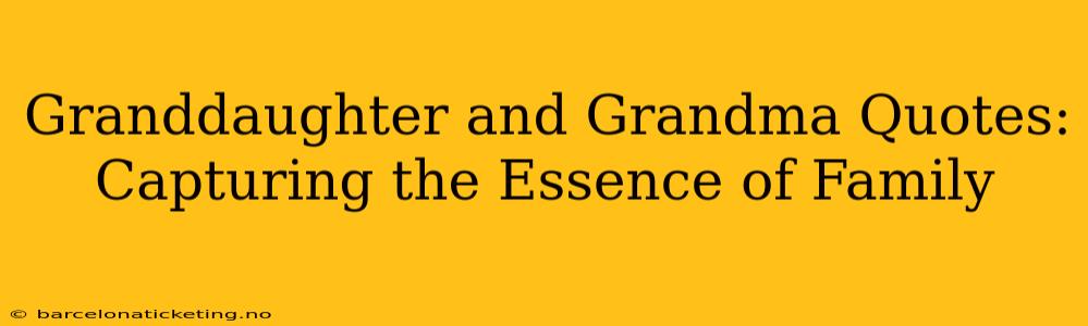 Granddaughter and Grandma Quotes: Capturing the Essence of Family