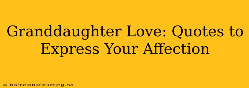 Granddaughter Love: Quotes to Express Your Affection