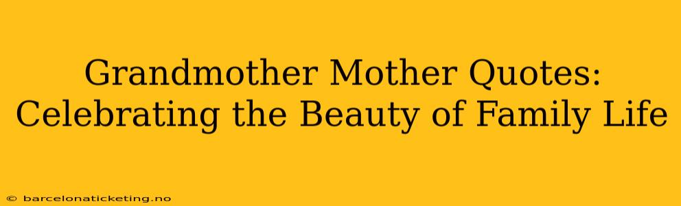 Grandmother Mother Quotes:  Celebrating the Beauty of Family Life