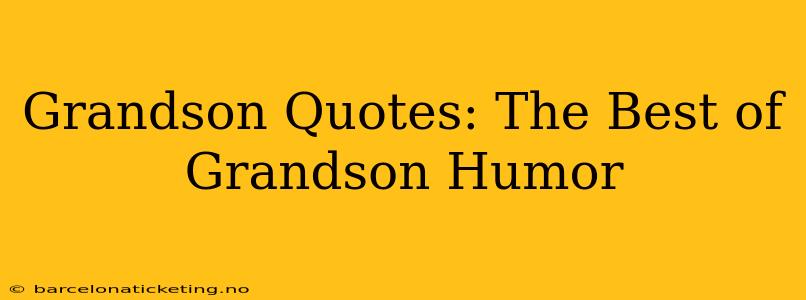 Grandson Quotes: The Best of Grandson Humor