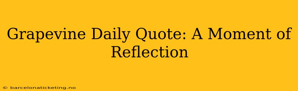Grapevine Daily Quote: A Moment of Reflection