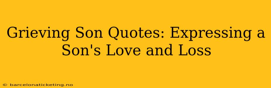Grieving Son Quotes: Expressing a Son's Love and Loss