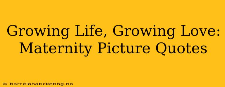 Growing Life, Growing Love: Maternity Picture Quotes