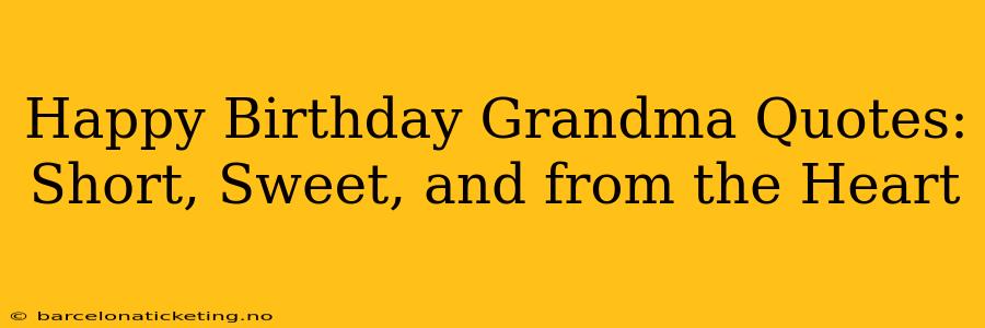 Happy Birthday Grandma Quotes: Short, Sweet, and from the Heart