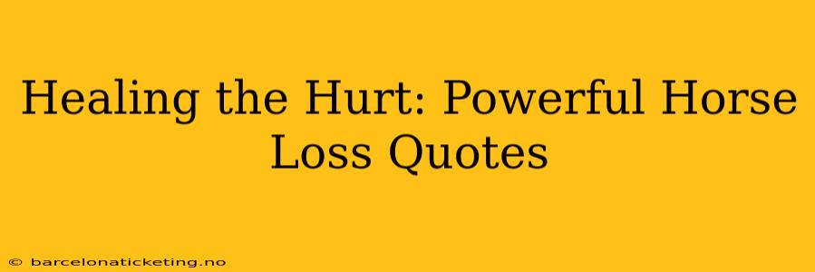 Healing the Hurt: Powerful Horse Loss Quotes