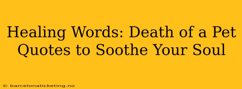 Healing Words: Death of a Pet Quotes to Soothe Your Soul