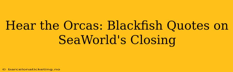 Hear the Orcas: Blackfish Quotes on SeaWorld's Closing