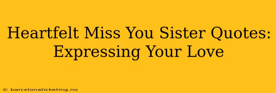 Heartfelt Miss You Sister Quotes: Expressing Your Love