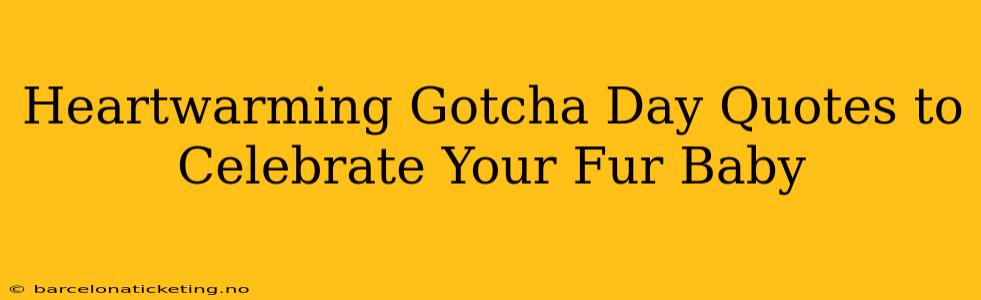 Heartwarming Gotcha Day Quotes to Celebrate Your Fur Baby