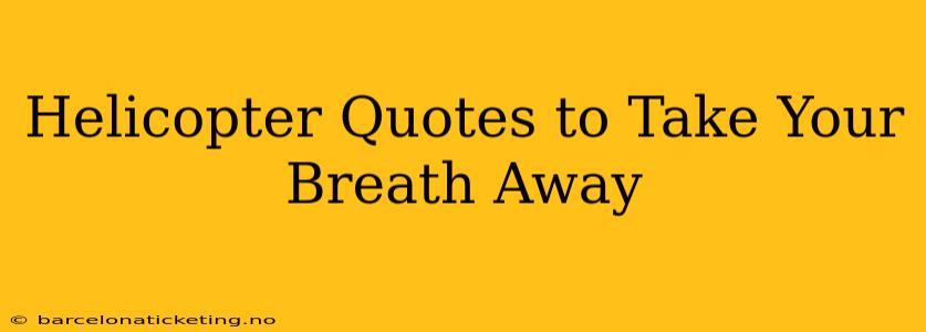 Helicopter Quotes to Take Your Breath Away