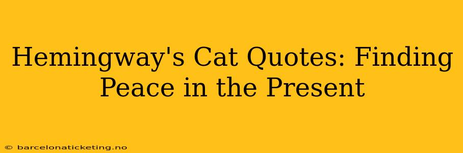 Hemingway's Cat Quotes: Finding Peace in the Present