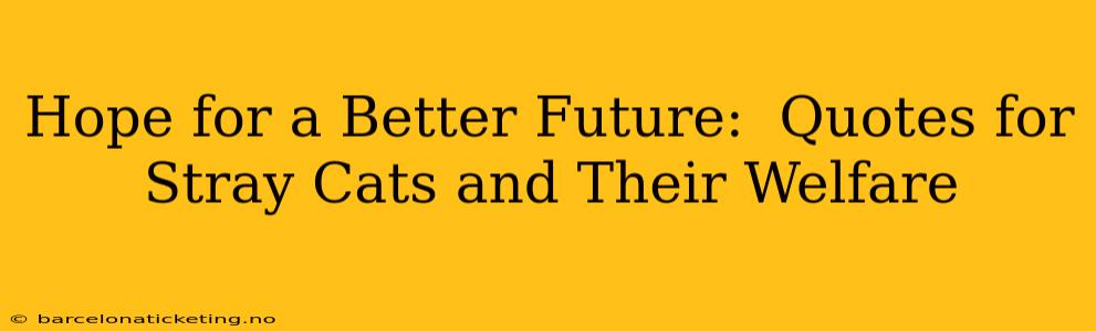 Hope for a Better Future:  Quotes for Stray Cats and Their Welfare